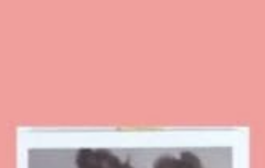 제니 포카 시세 어느정도임??