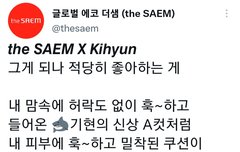 #더샘 #커버퍼펙션컨실러쿠션 #기현