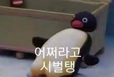 한명이 한국 물흐린거 짜증남