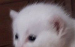 누프들아 슬로건 살 준비해