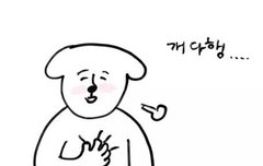 레이 한국 떠났구나