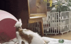 기현 프메 (봉쑥쓰 & 기현 움짤)