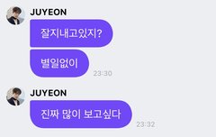 로맨틱 코양히들