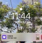 이재현 지대 좋아…