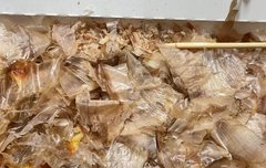 애들아 맛있는거나 봐