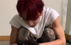 아기고양이와 아기고양이의 만남