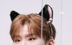 어제 저녁부터 계속 실트 '유기현님'