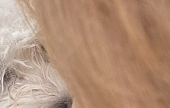 영후니 이거 뭐임 뭔사진임