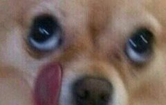 방금 알바 개빡세게 뛰고 왔는데