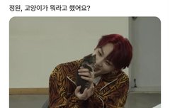 언제 앙큼고양이가 된거지