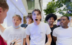 아르망 2만 넘었네