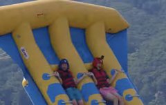 이거 핑크바지 아르망 같은데