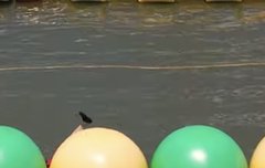 교장쌤 넘어질때 아르망