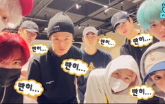 New(not tbz)빤히짤 얻었다