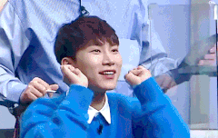 비투비 내의 고양이