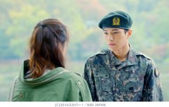 군싹... 드디어 오늘인가(내일임)