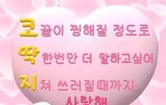 더보이즈 코딱지 더보이즈 엉덩이