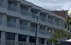 아르망이 올리 손잡고 있는거 맞지?