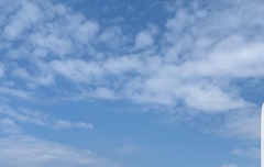 아르망만 다른 머리