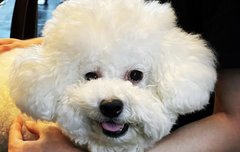 그래 나에겐 세훈이 하나야