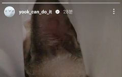 삼이 잘 지내고 있었구나