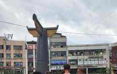 르망이 뒷태도 잘생겼냐