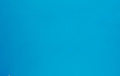 너무 너무 귀여워