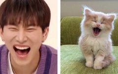 고양이랑 닮았엉