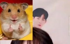 오늘 하루도 햄쥑의 기운을 받아