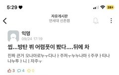 애들아 목격담 구라임