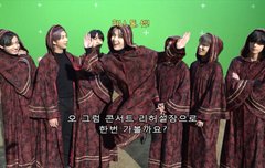 어떻게 내가보는 단체짤마다