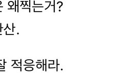 줌마들은 말투가 왜 저래?