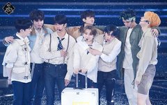 데이지랑 봄나리 바스키아 보는데