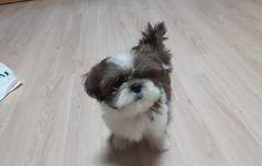 정국아 미용하러가자