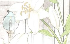 솔찍히 안닮음?