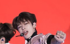 적막한 팬톡에 개냥이 출몰