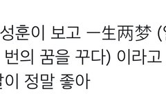 일생일몽