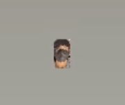 그래서 이날 뭐햇을까