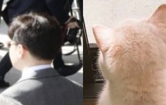 냥집사