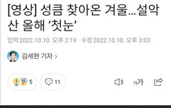 얘들아… 첫눈 내렸어