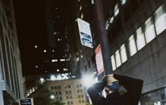 니키 감성샷에 댕냥즈ㅋㅋㅋ