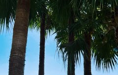 다니엘 포닝 앨범 업데이트