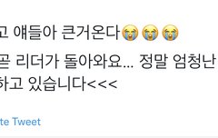 이번에 정규 나올 가능성 몇 퍼센트??