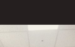 슈화 어떻게 이래...?