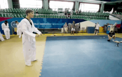 르망이 태권도 짤