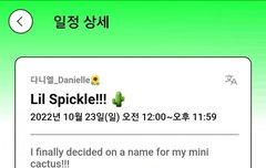 다니엘 포닝 일정 업데이트