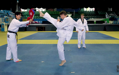 아르망 킥 자세