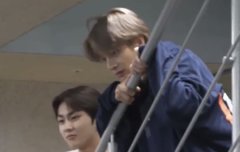 꼬질 고양이 꼬질 강아지