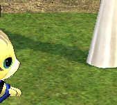 베리레드톡)cospre time