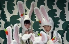 누데이크 케이크